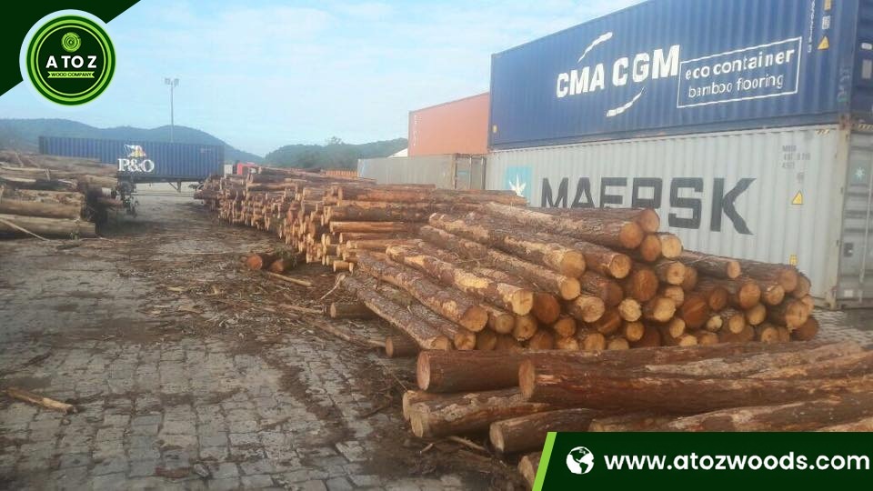 bulk white pine wood logs
