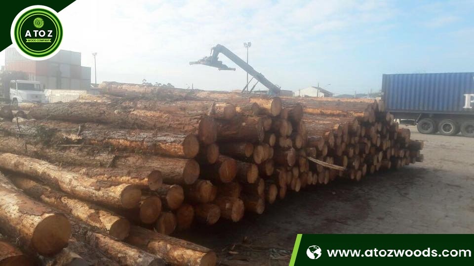 white pine log seller