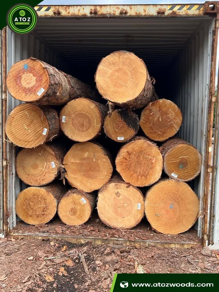 yellow pine logs wholesaler