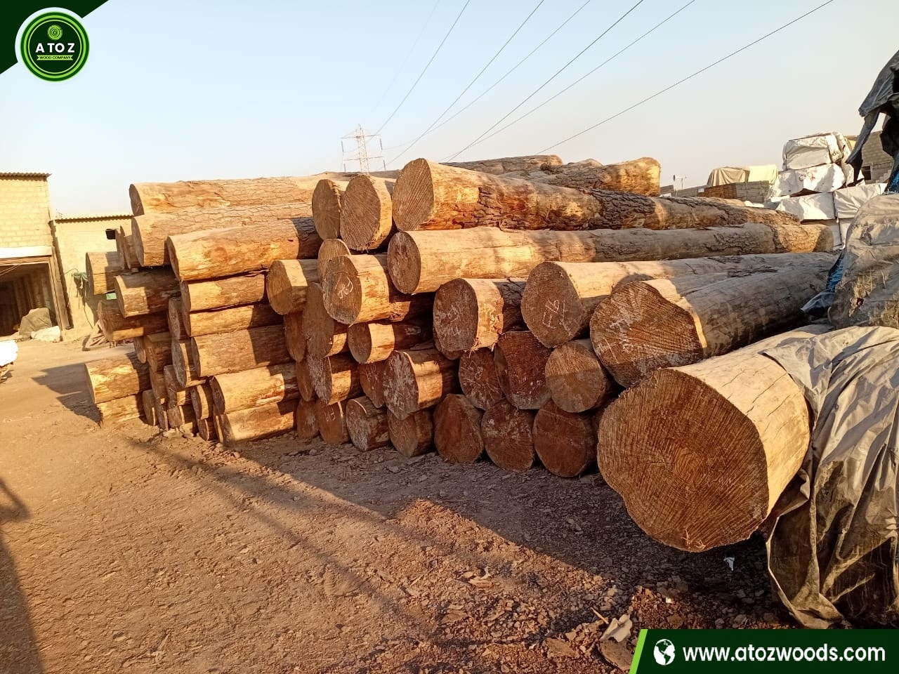 yellow pine log supplier