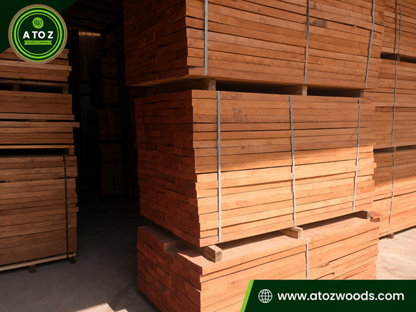 beech timber exporter