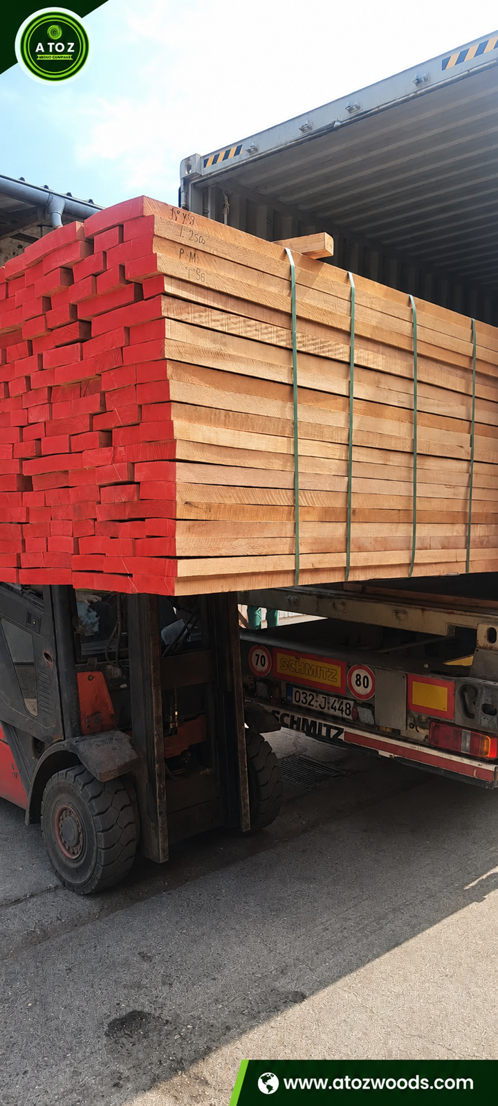 beech wood supplier