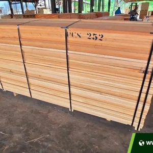spanish cedar