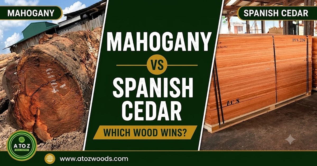 mahogany vs spanish cedar